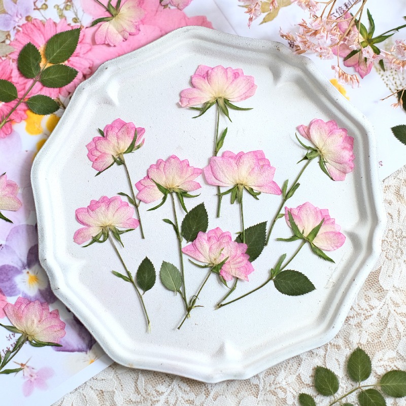 Resin Art Baby - 12 pièces, fleurs séchées pressées véritables