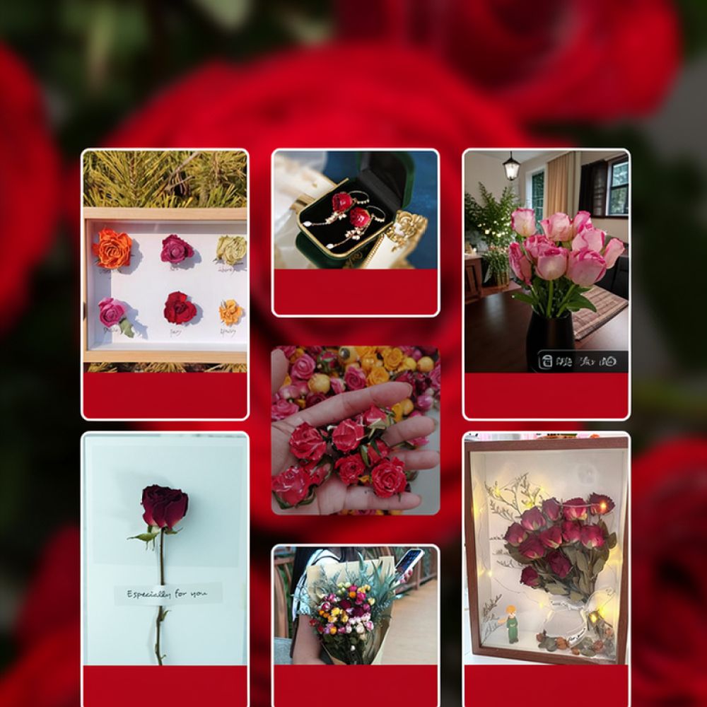 Resin Art Rose - Bouquet de roses séchées naturelles, roses