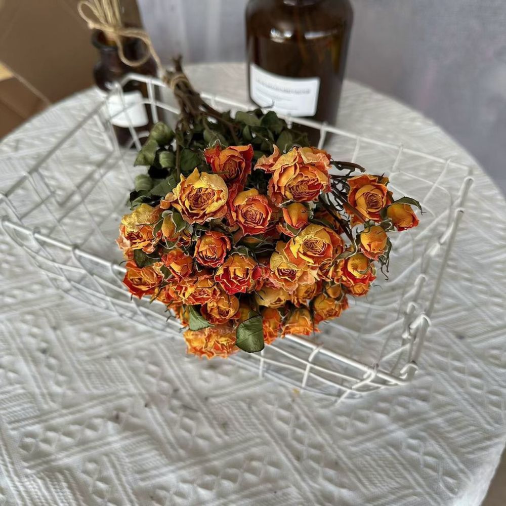 Vrais roses séchées, bouquet d - Resin Art Rose avis et prix