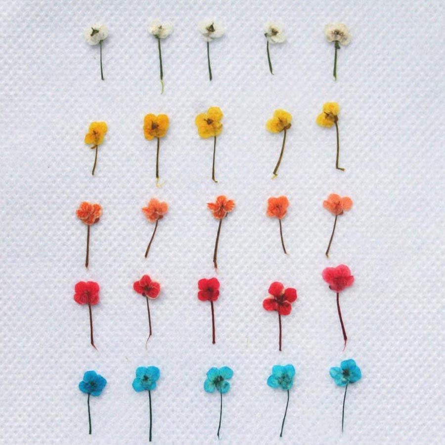 60 pièces de petites fleurs sé - Resin Art Baby avis et prix