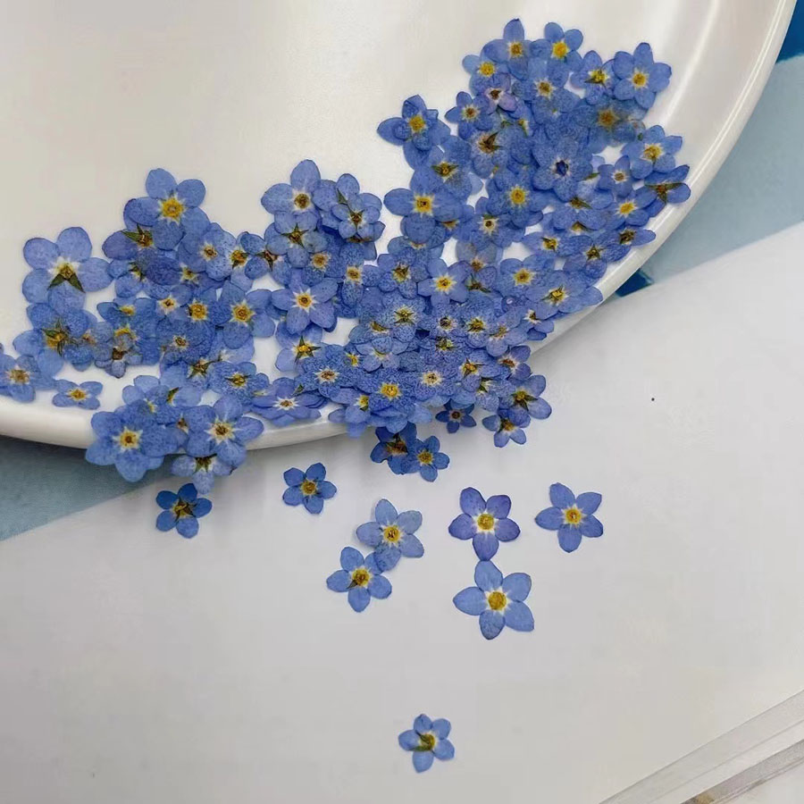 60 pièces de petites fleurs sé - Resin Art Baby avis et prix