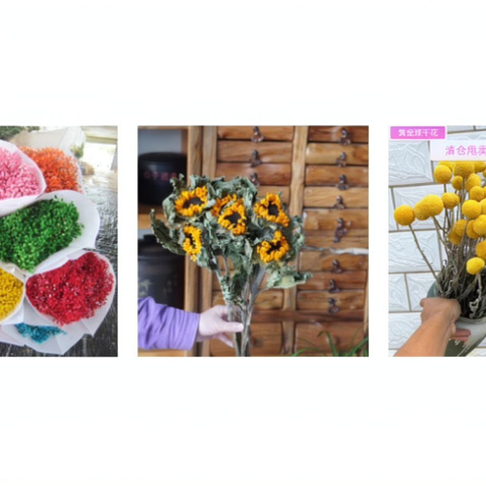 Bouquet de roses séchées natur - Resin Art Rose avis et prix